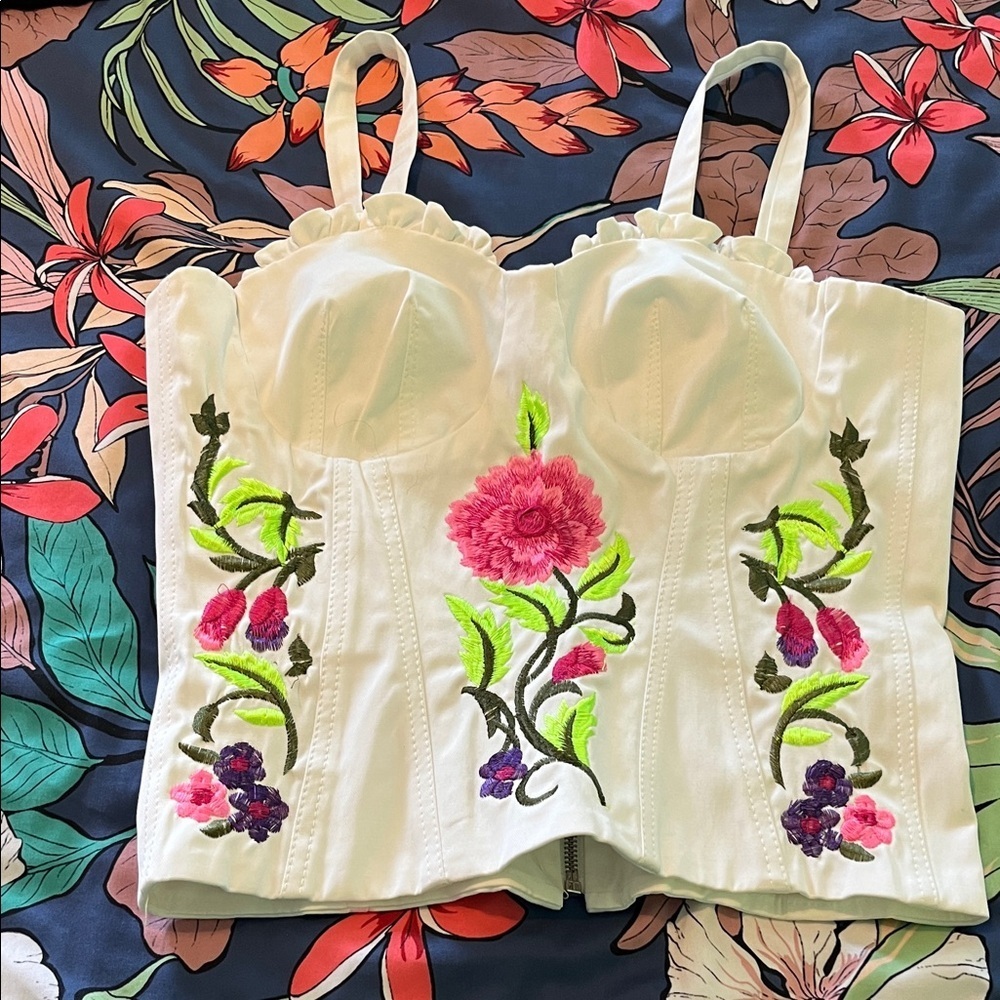 Ann Fernandes embroidered bustier new